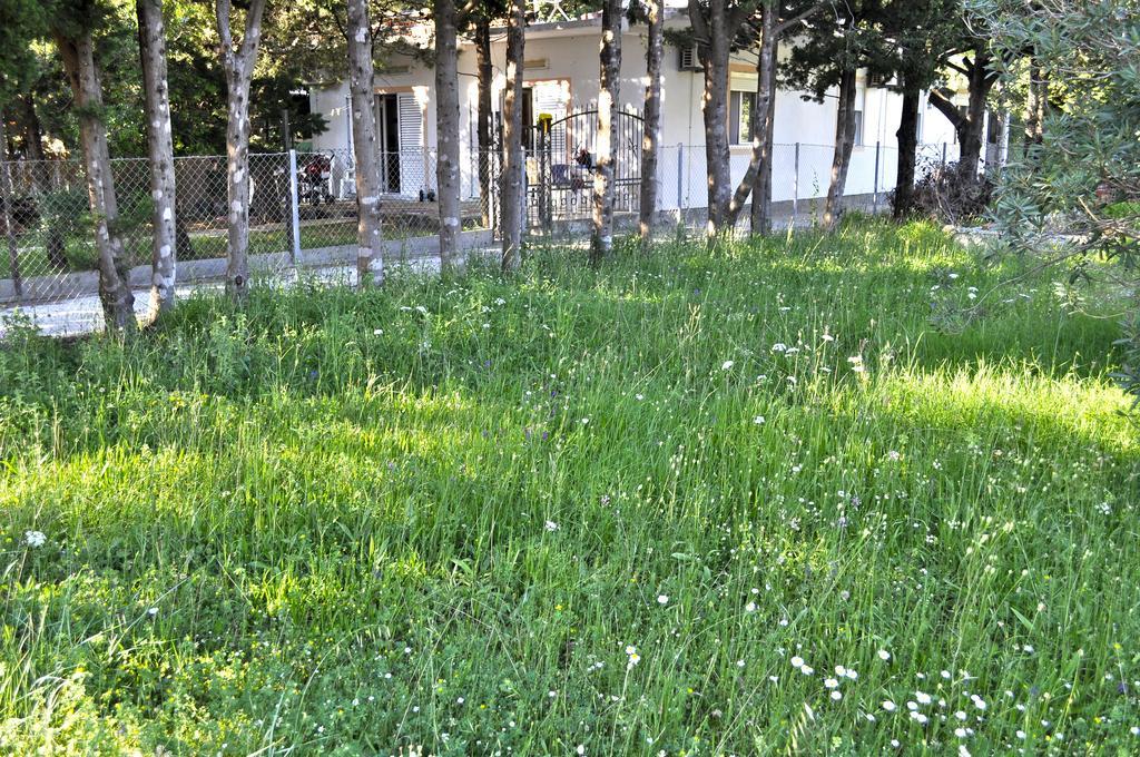 Vila Branka ชานจ์ ภายนอก รูปภาพ